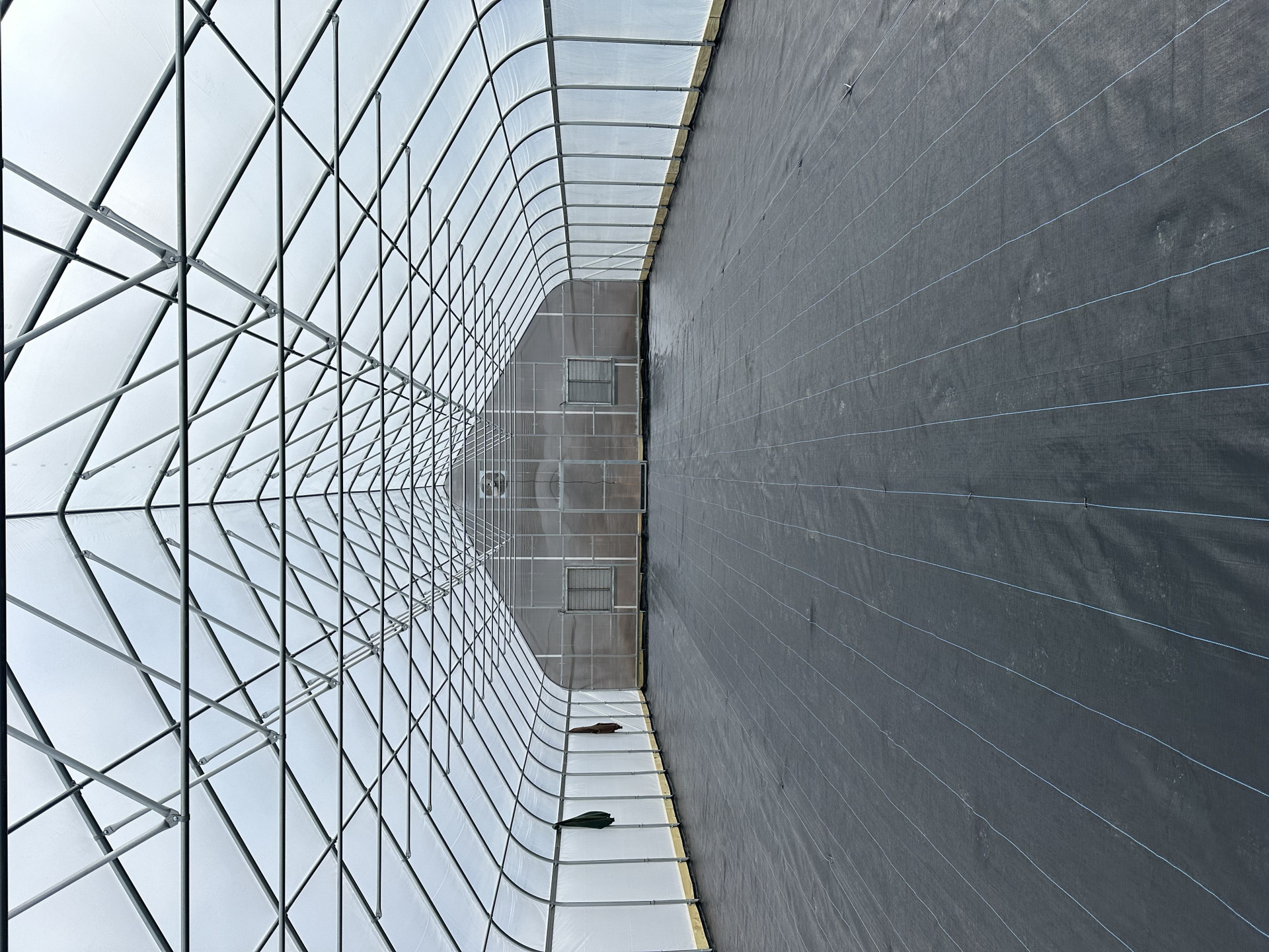 Inside a new greenhouse frame, ground cover down