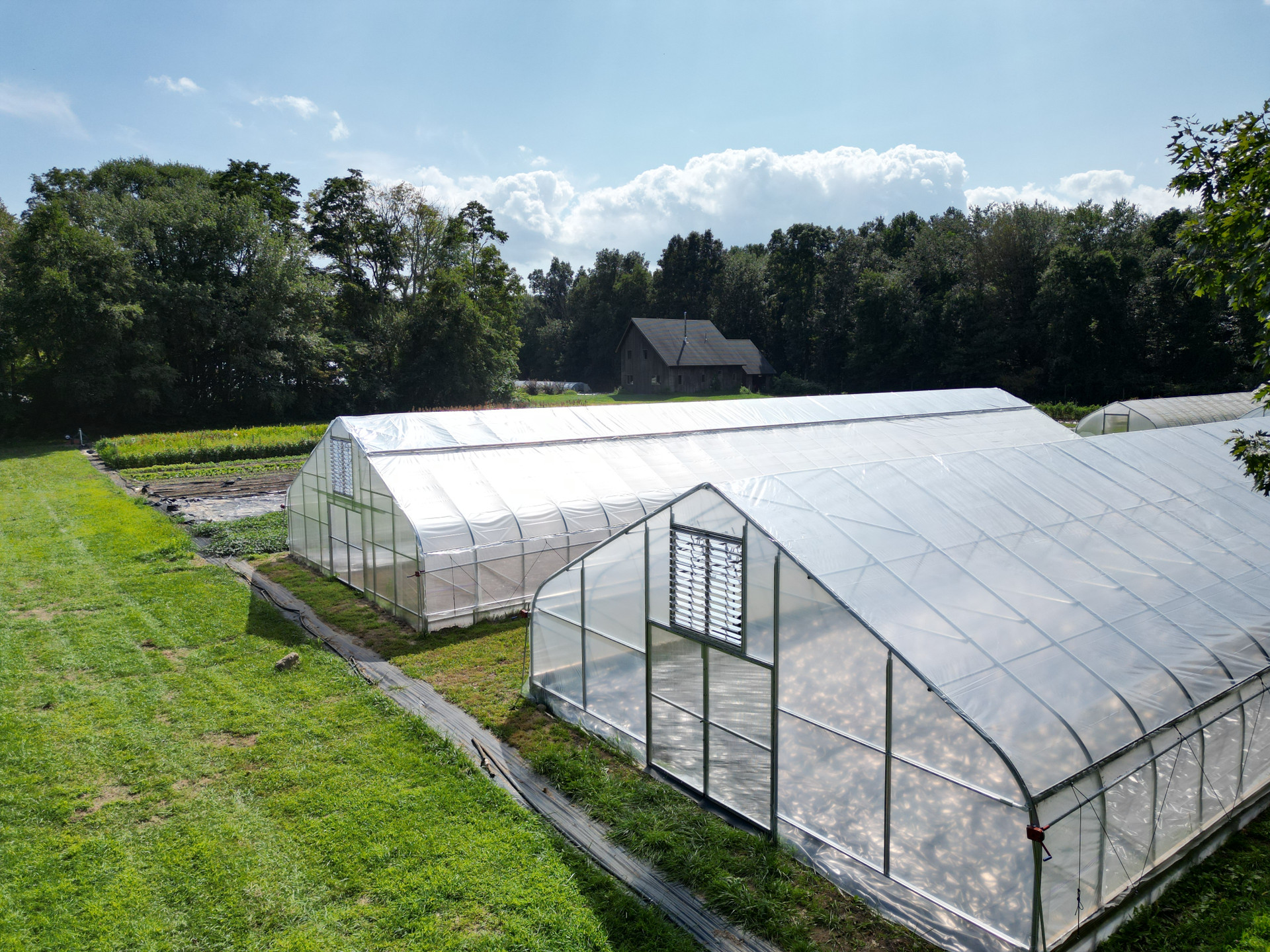 Gothic high tunnels in the field