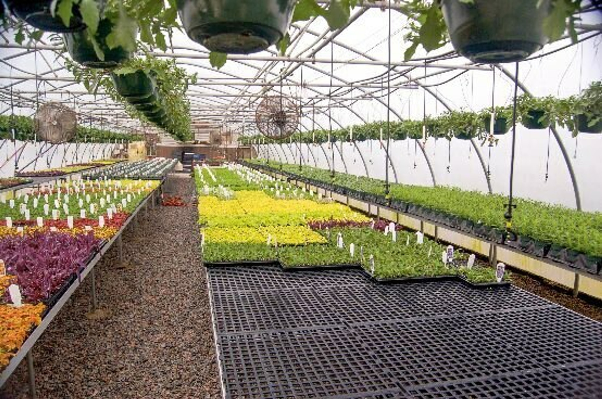 Nolts Greenhouse Supplies Products CT Greenhouse