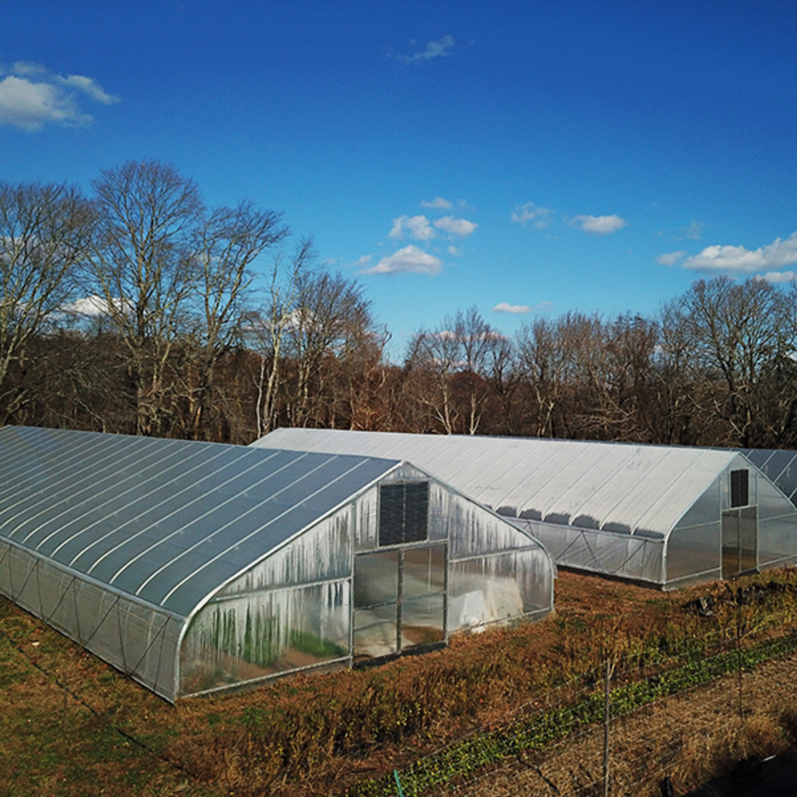 High Tunnel Kits & Hoop Houses CT Greenhouse