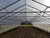 NRCS high tunnel with greenhouse plastic