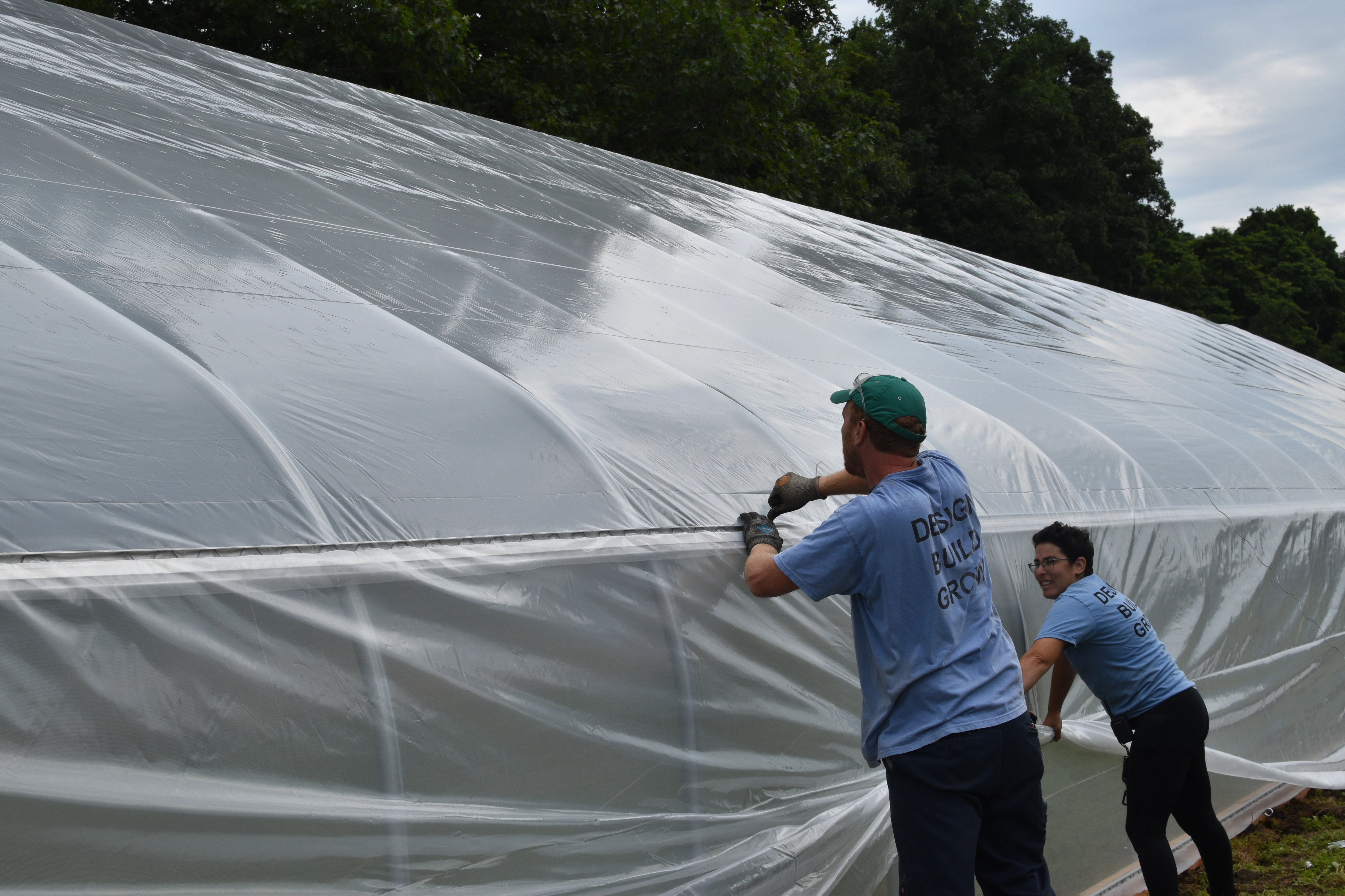 CT Greenhouse Wiggle wire installation on high tunnel