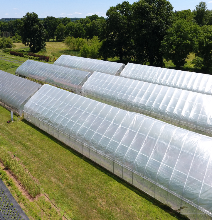 CT Greenhouse High Tunnel with Poly Cover