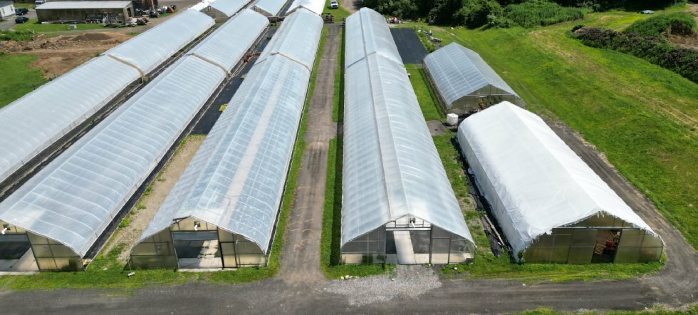 CT Greenhouse Large High Tunnels