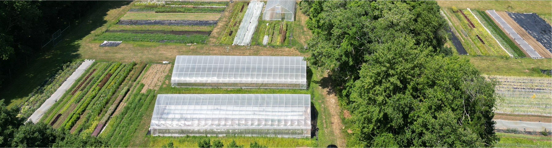 CT Greenhouse Aluminum-frame with Poly Cover