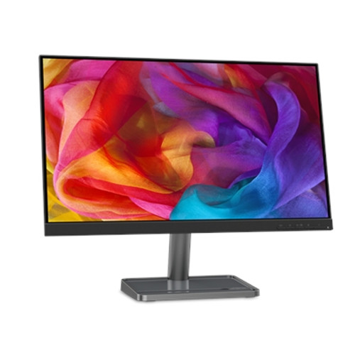 L24i-30 IPS FHD Monitor