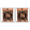 Ernie Ball Everlast Phosphor Bronze Strings