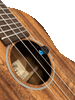 D'addario Ukulele Soundhole Tuner