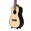 Openhagen Still Standing Ukulele Stand 
Ireland