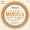 D'addario EJ76 Mandolin Strings Ireland