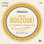 D'addario EJ81 Irish Bouzouki Strings