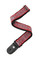Planet Waves World Tour Celtic Strap