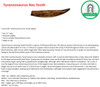 T-rex tooth| Tyrannosaurus rex| Fossil replica | Size - 11 Inch 