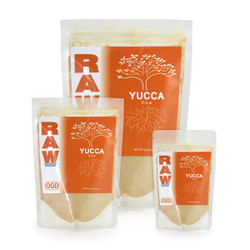 RAW Yucca RAW Yucca