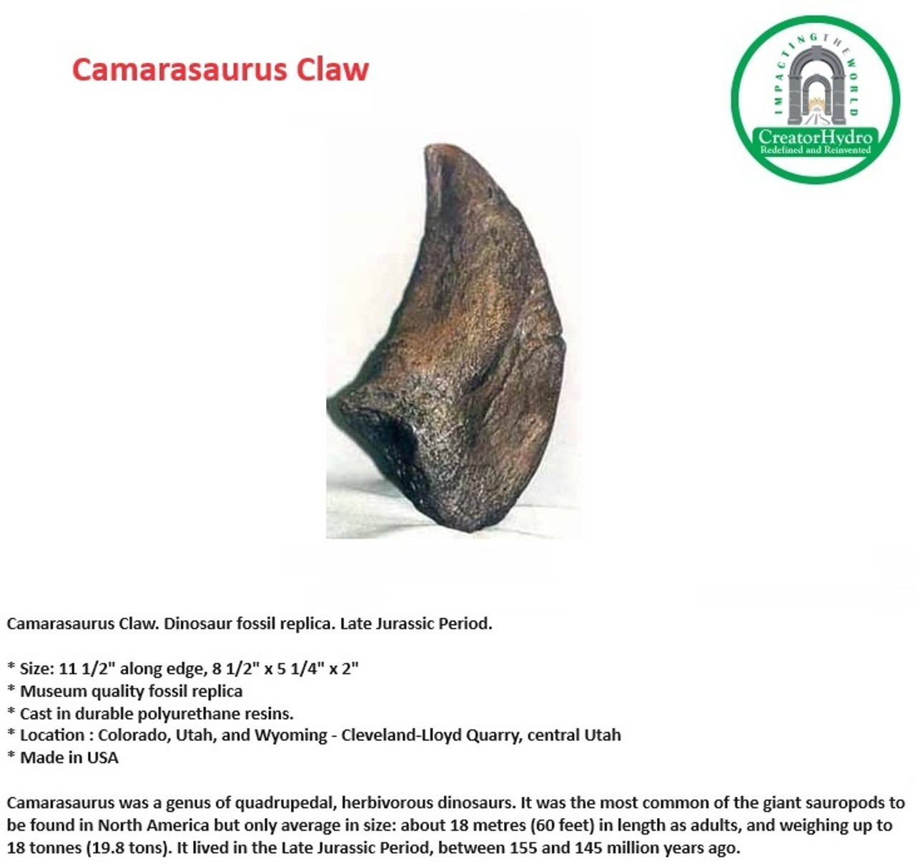 Camarasaurus Claw | Museum quality fossil replica| Size: 11 1/2" along edge, 8 1/2" x 5 1/4" x 2"
