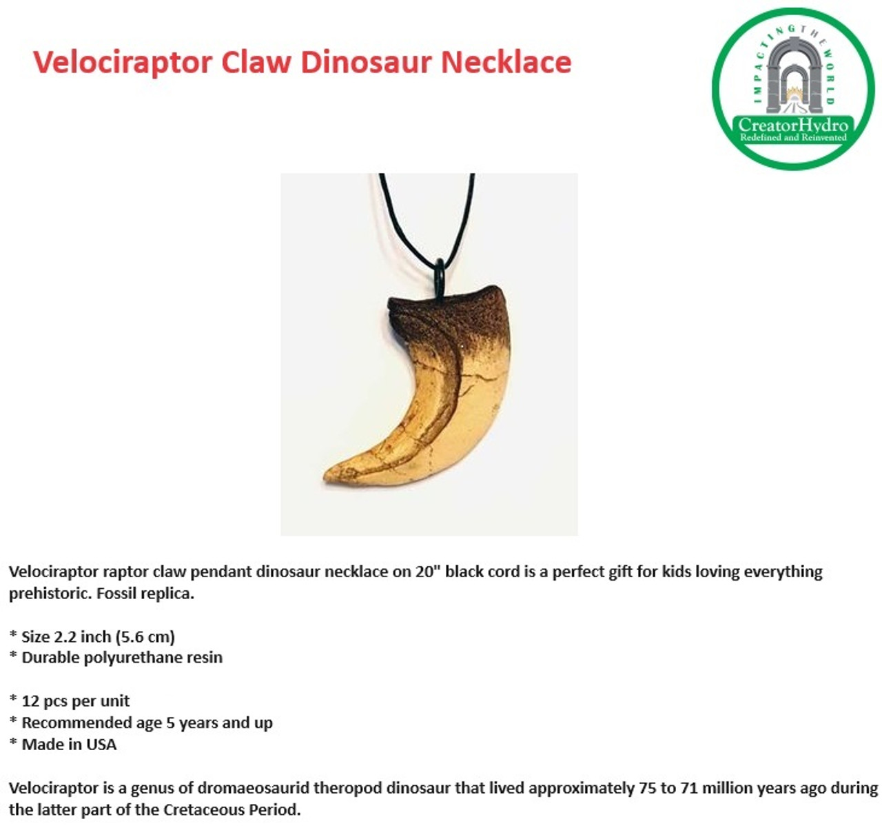 Velociraptor raptor claw pendant dinosaur necklace | Size 2.2 inch |Fossil replica 