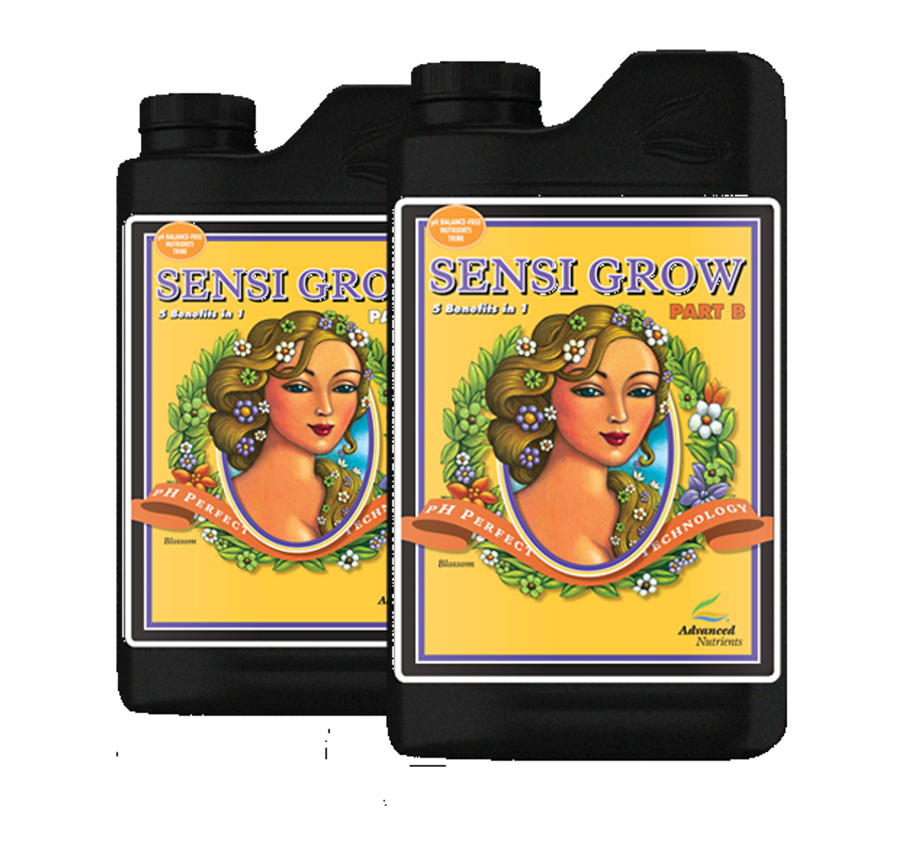 Advanced Nutrients pH Perfect Sensi Grow A & B