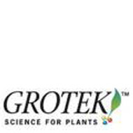 Grotek