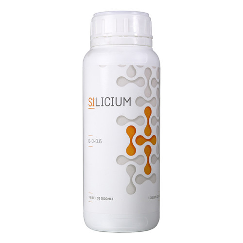 Silicium 500 ML