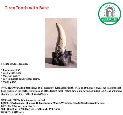 Tyrannosaurus Rex  | T-Rex tooth | Fossil replica |Size - 3.25 Inch 