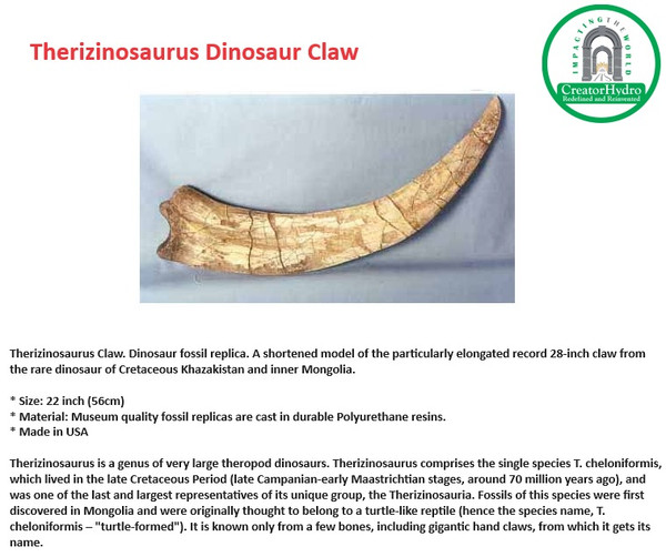 Therizinosaurus Claw. Dinosaur fossil replica | Size - 22 Inch