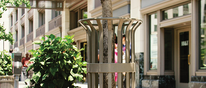 Tree Guards