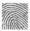 Fingerprint Award