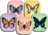 fab-and-funky-butterflies.jpg