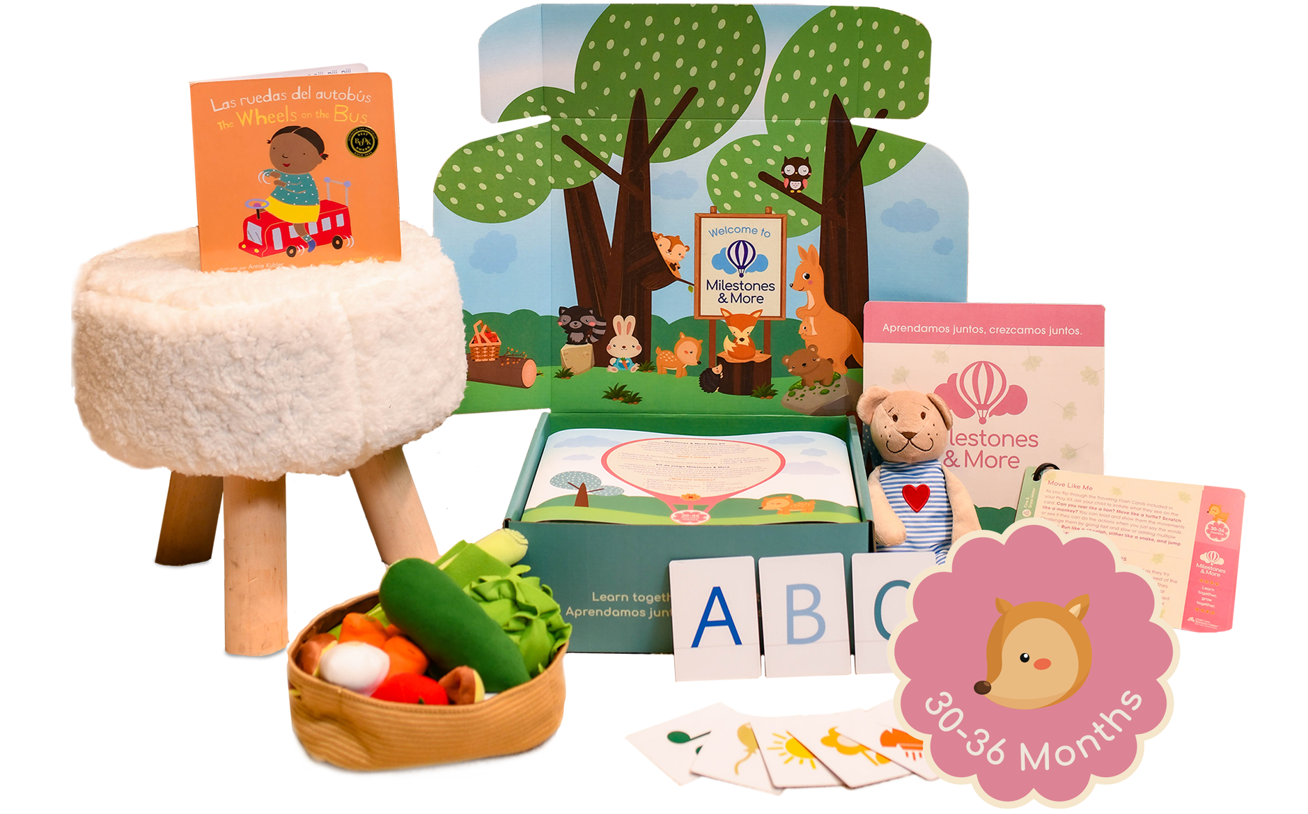 A 30-36 months Milestones & More play kit opened with included developmentally appropriate, fun, educational, and interactive toys, books, and activities.