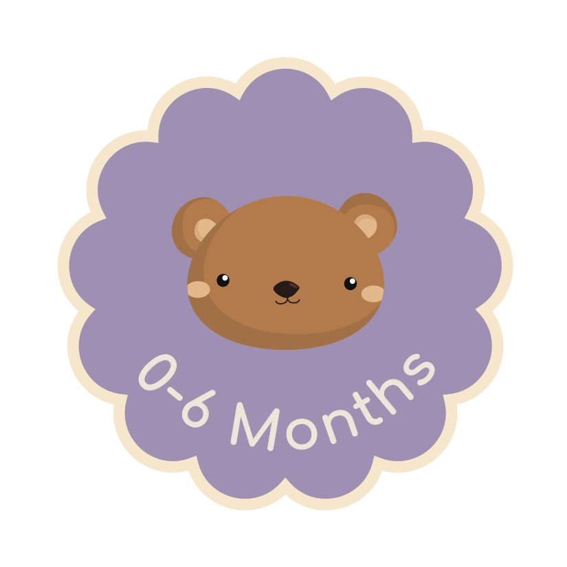 Illustrated bear