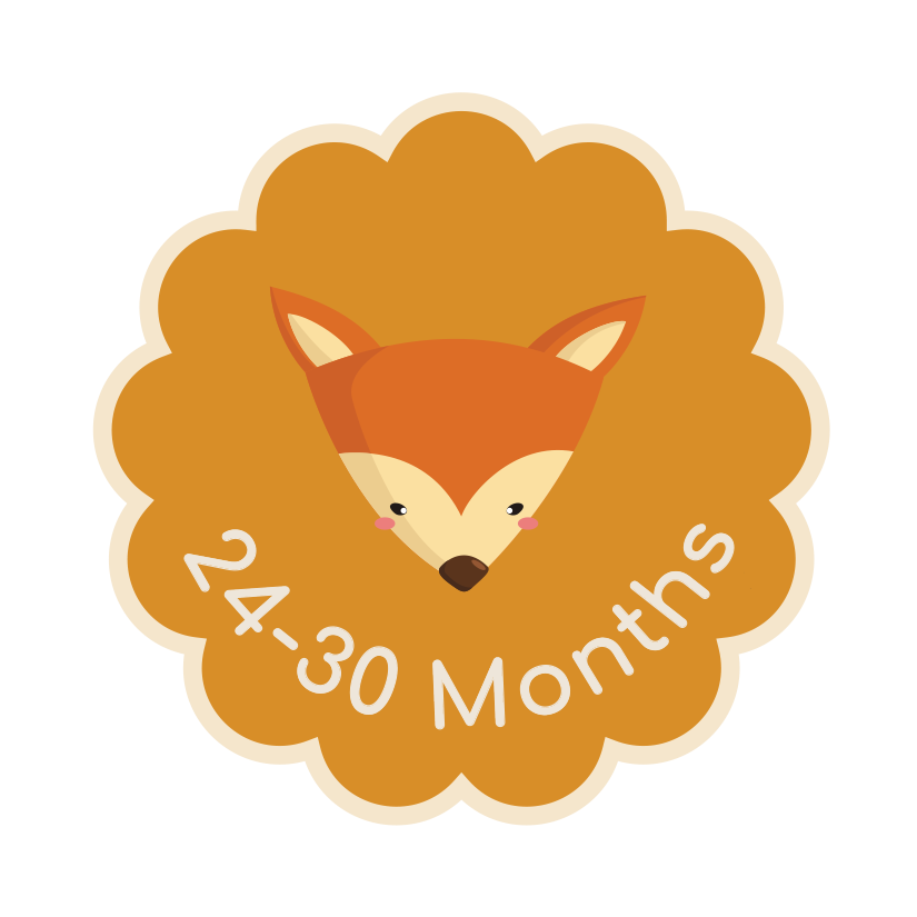 Illustrated fox