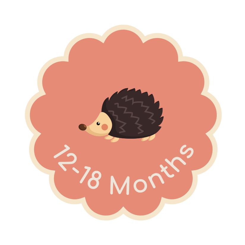 Illustrated porcupine