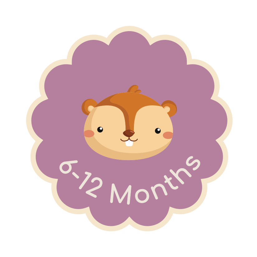 Illustrated squirrel