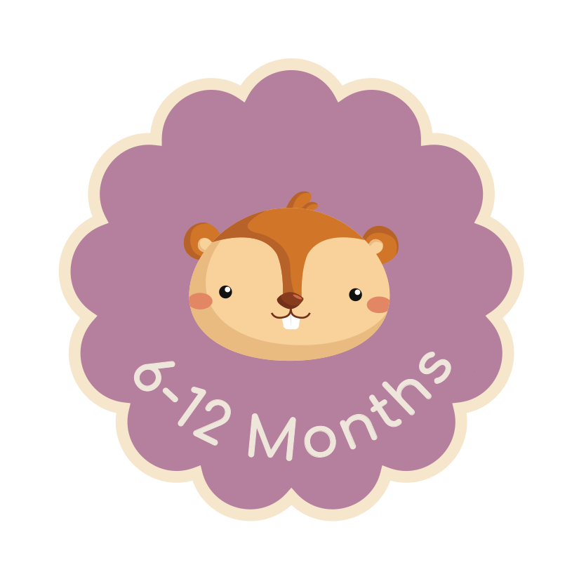 Illustrated squirrel