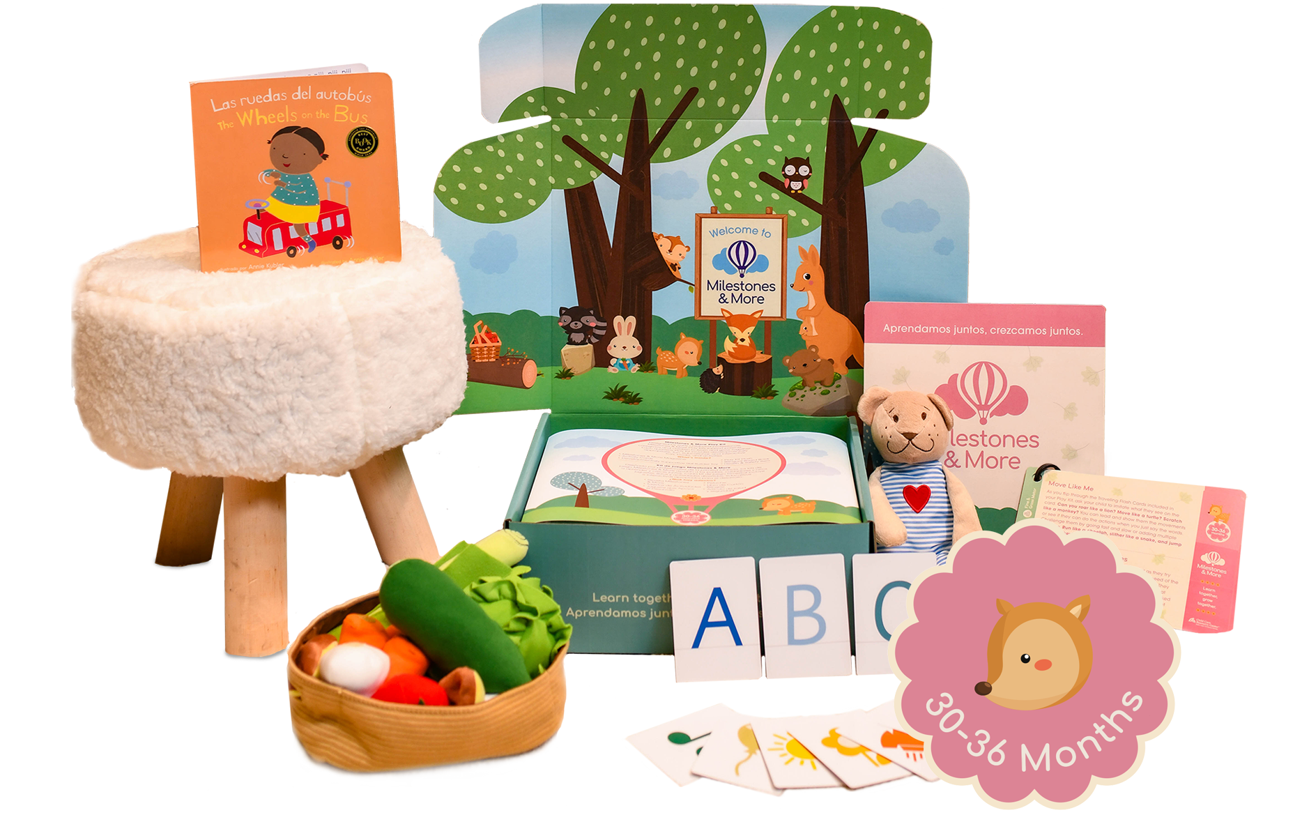 A 30-36 months Milestones & More play kit opened with included developmentally appropriate, fun, educational, and interactive toys, books, and activities.
