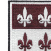 307th Airborne Medical Battalion Patch | Upper Left Quadrant
