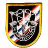 46th Special Forces Group Flash with Crest Patch