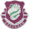 326th Airborne Medical Battalion Patch