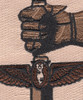 25th Air Support Operations Squadron Desert Patch Hook And Loop | Center Detail
