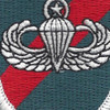 20th Special Forces Group Airborne MPB Flash Patch | Center Detail