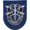 19th Special Forces Group With Crest Flash Patch