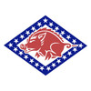 Arkansas Army National Guard Element Joint Force Headquarters Patch
