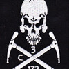 172nd Infantry - 3rd Mountain Battalion | Center Detail