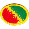 16th Military Police Group Patch Oval