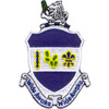 151st Infantry Regiment Patch