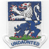 119th Infantry Regiment Patch