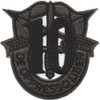 10th Special Forces Group Crest OD Green Patch