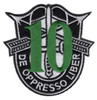 10th Special Forces Group Crest Green 10 Patch
