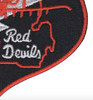 107th fighter Squadron A-10 C Red Devils Patch