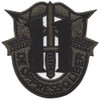 11th Special Forces Group Crest OD Green Patch